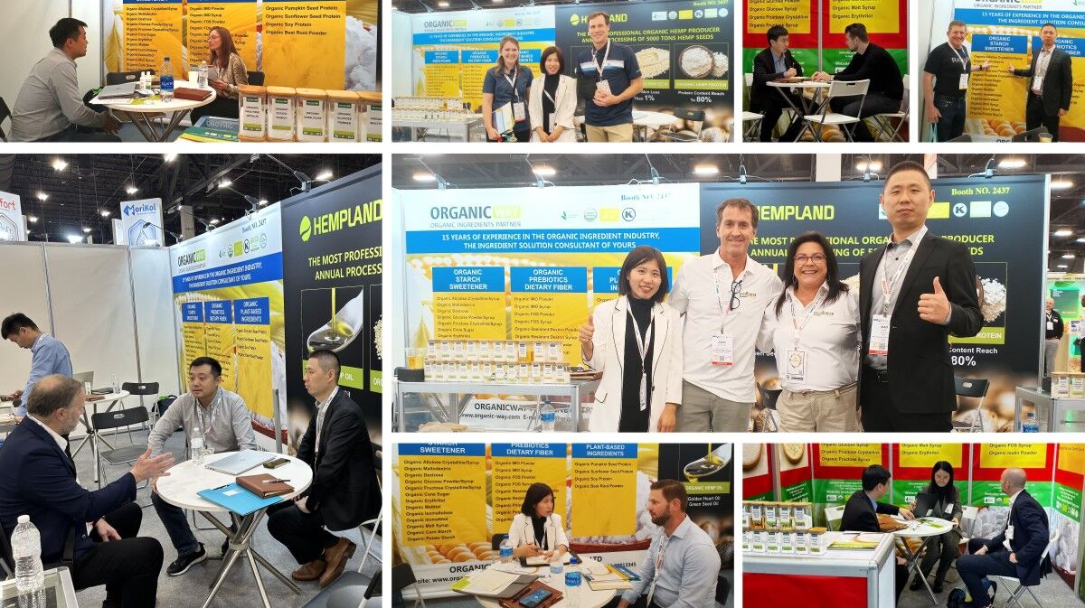Exhibitions 1 D